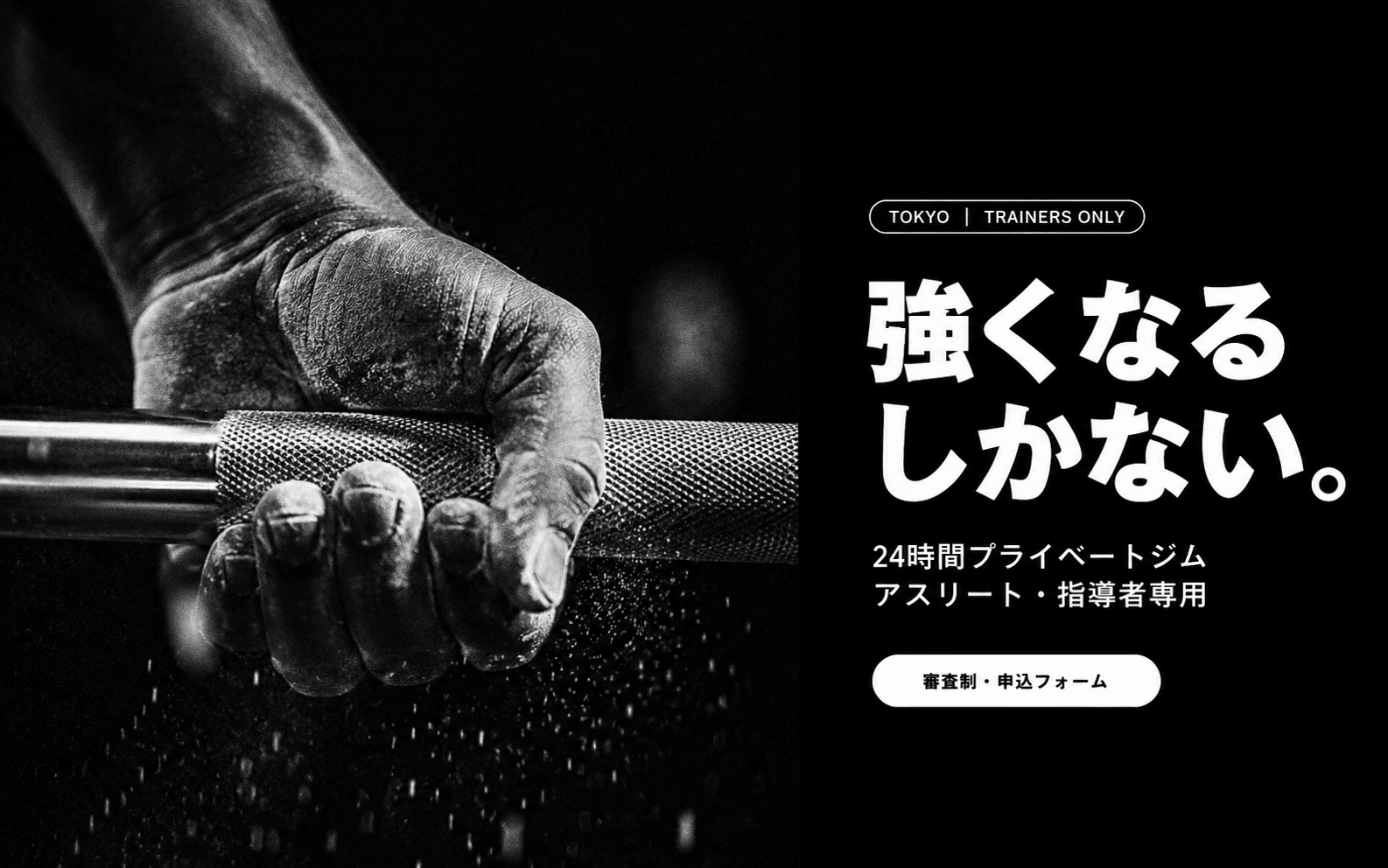 TRAINERS ONLY — アスリート向け24h